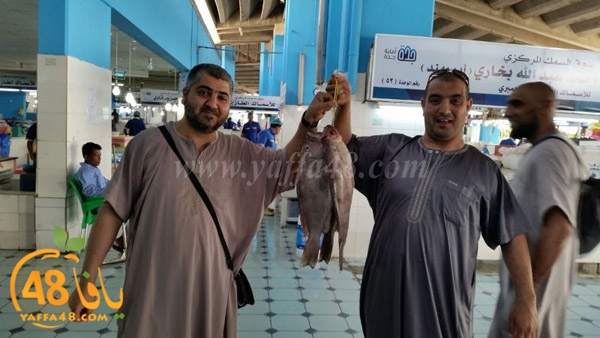 mo3tmreen yaffa inmkae (22).JPG